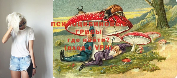 спайс Михайлов